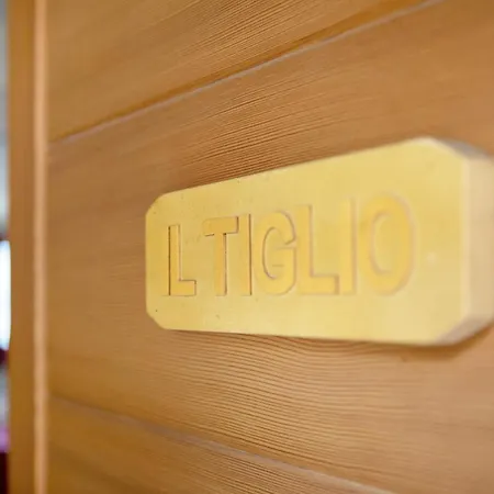 Casa Di Alfredo E Virginia - Tiglio * Αόστα